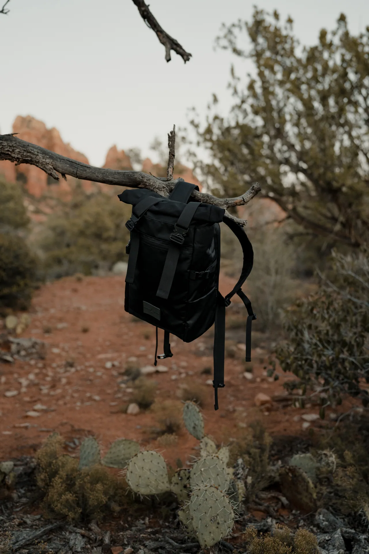 Branding photograph 21