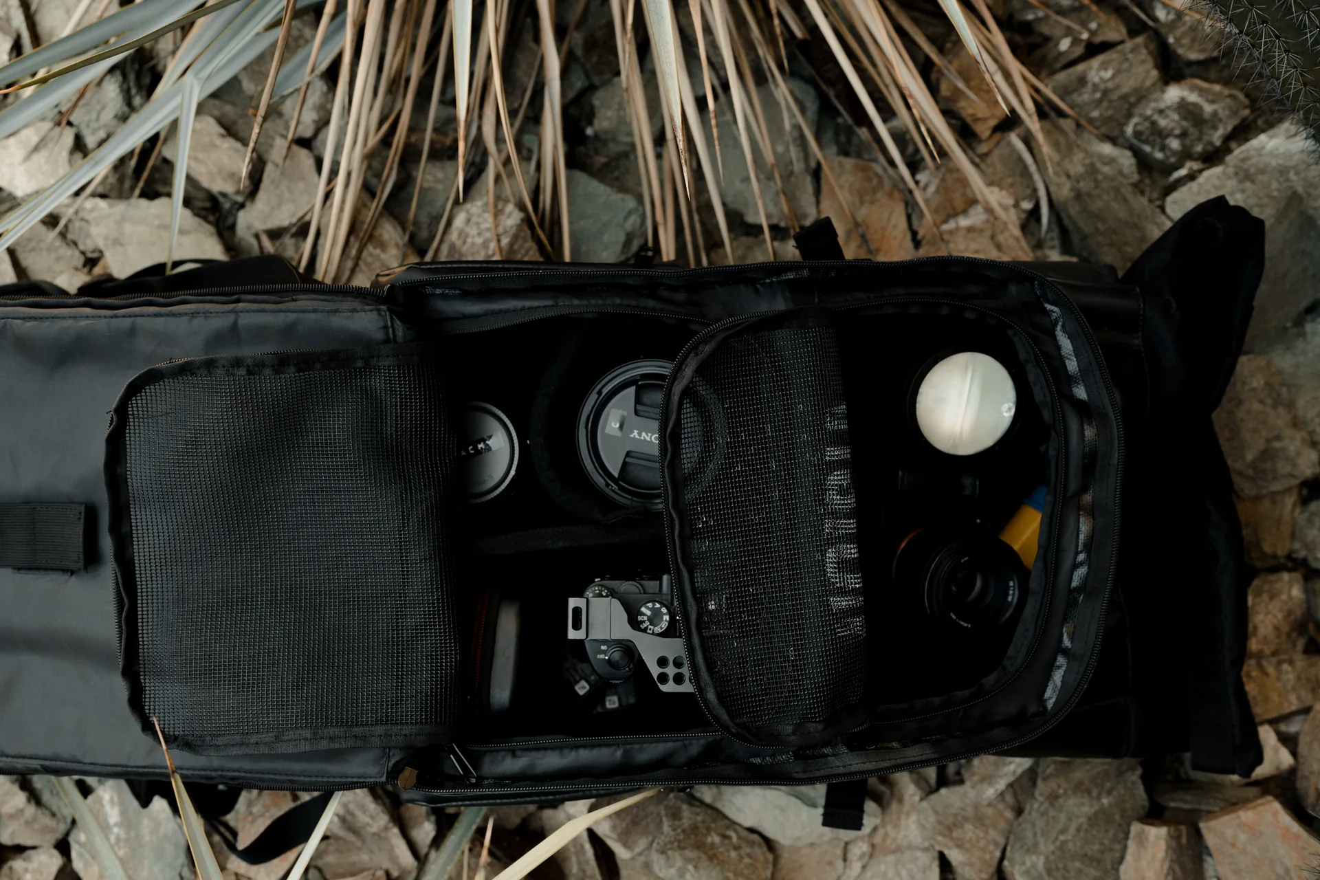 Branding photograph 23